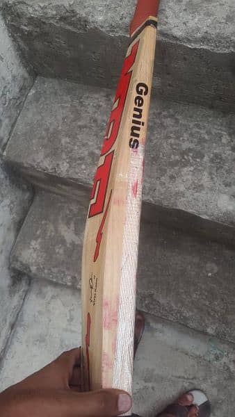 hard ball english willow cricket bat 3