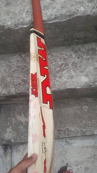 hard ball english willow cricket bat 5