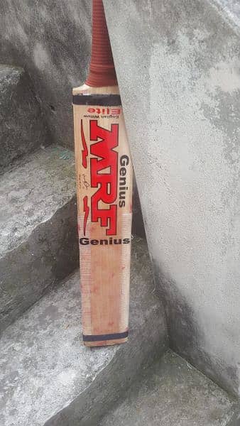 hard ball english willow cricket bat 8