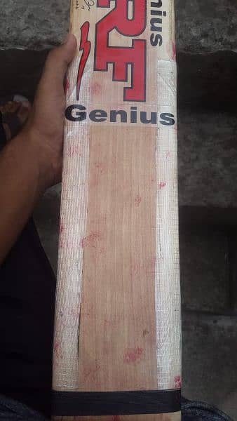 hard ball english willow cricket bat 9