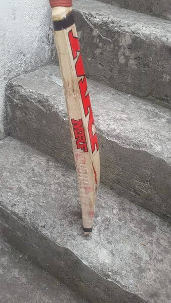 hard ball english willow cricket bat 11