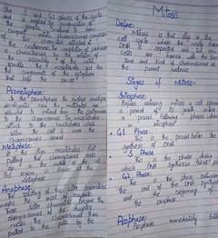 hand writing or typing assignment