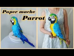 I AM SELLING MY BELOVED HANDMADE MACAW PARROT