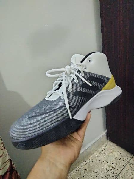 Adidas Shoes 1