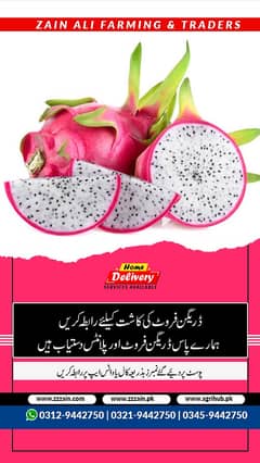 We have Different types of dragon Fruit Plants and seeds  Location La