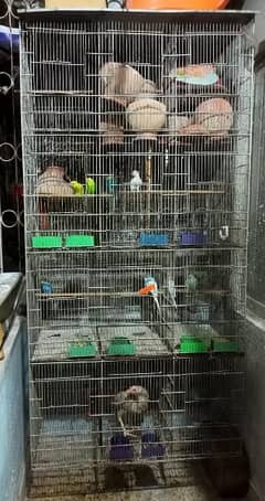 12 portion cage