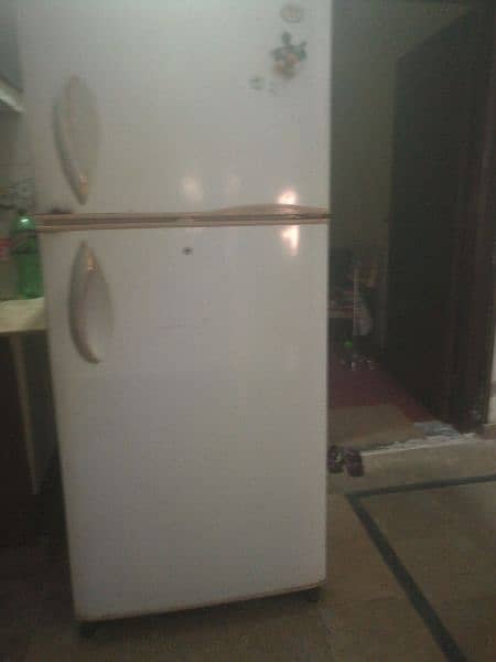 imported Jumbo size fridge 9