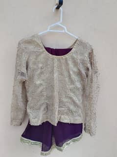 Plum Chiffon Dari with Net Blouse