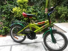 Power speed bike for sale