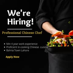 Expert Chef Specializing in Chinese Cuisine