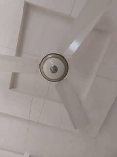 05 ceiling fans for sale