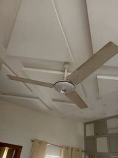 ceiling fan