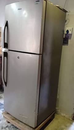 haire fridge medium size