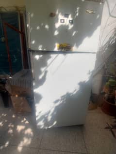 Refrigerator / Fridge for sale/ Kelvinator Refrigerator