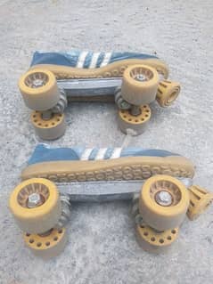 Skating shoes