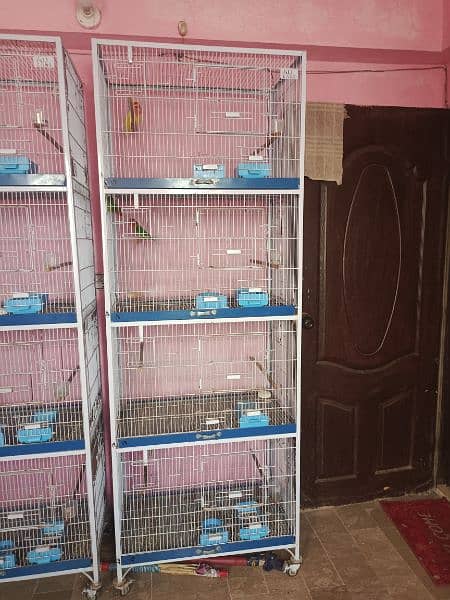 4 Portion 3 Cages Urgent Sale 0