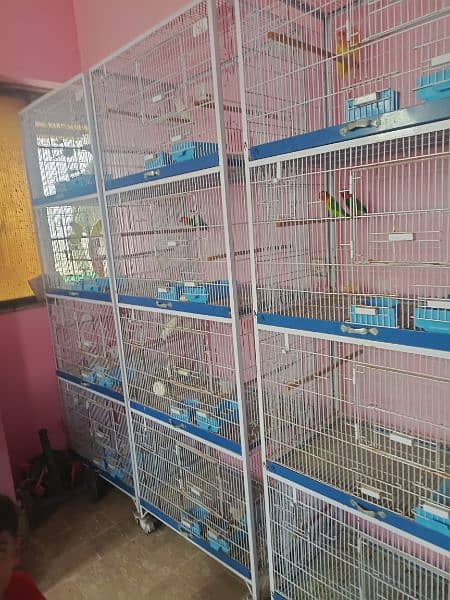 4 Portion 3 Cages Urgent Sale 2