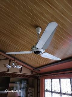 GFC ceiling Fan for sale full size