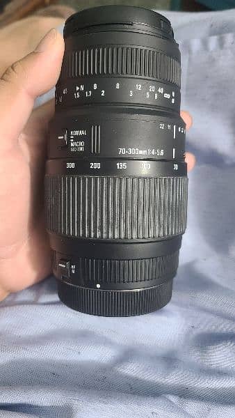 Canon 70-300mm 2