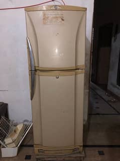 Pel Fridge Medium Size/Refrigerator/freezer