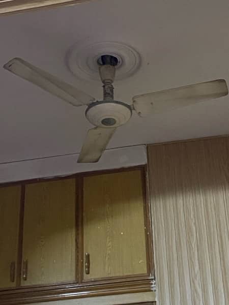 3 regular and 3 full size fans for sale in 27,500 only 1