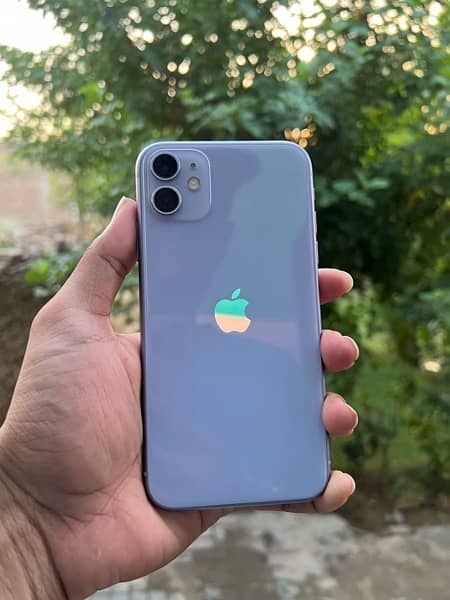 iphone 11 pta approved 1