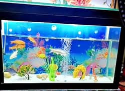 fish aquarium for sale new condition 12mm Glass size 4 fit leanth 2.5 0