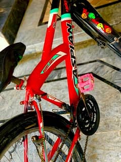 caspian bicycle big size