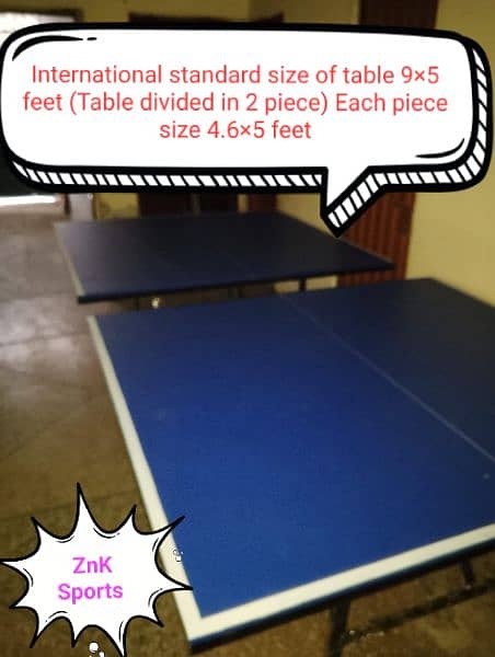 Table tennis table 10