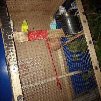 hii my astaliyan toty for sell