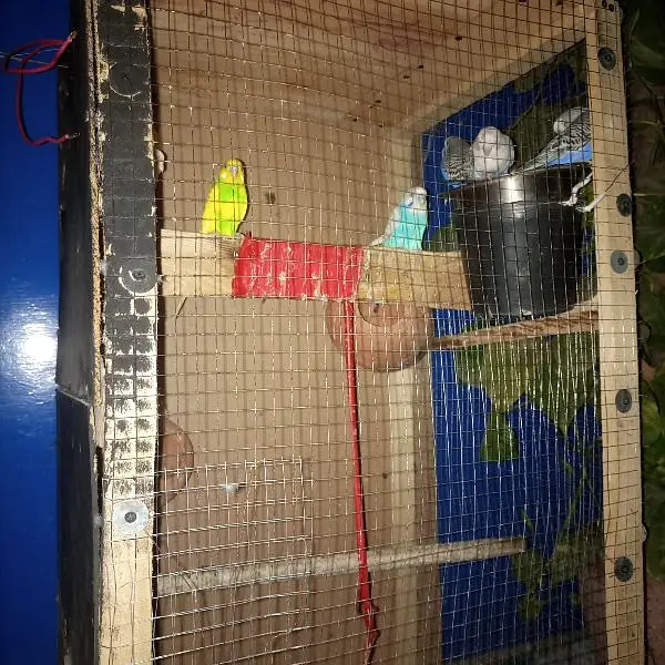 hii my astaliyan toty for sell — photo 2