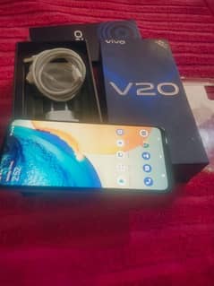 vivo