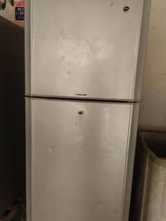 PEL fridge