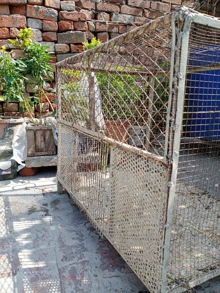 Metallic Large Cage for Birds and Hens 1