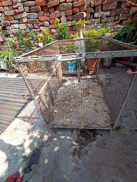 Metallic Large Cage for Birds and Hens 4