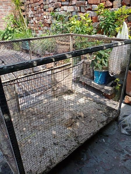 Metallic Large Cage for Birds and Hens 5