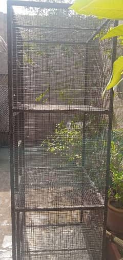 iron Birds Cage