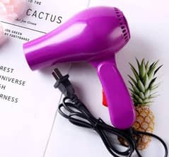 Foldable Hairdryer