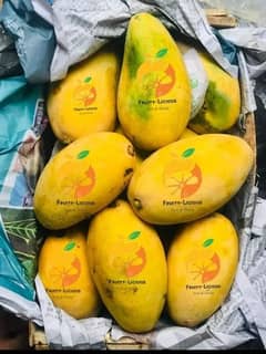 White chaunsa Mango Premium Quality