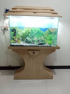 Fish Aquarium 3×2 fit Full time 8MM Mirror Aquarium