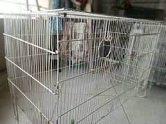 bird cage 0