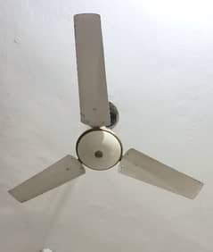 Pak fan (celling fan)