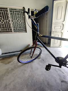 Phoenix Bicycle