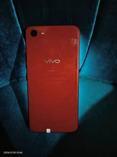 vivo