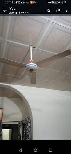 ceiling fan for sale