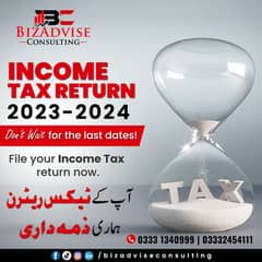 Income Tax Filing /Tax Preparer /Tax Accounting/ Become a filer