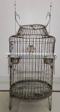 Cage for Parrot