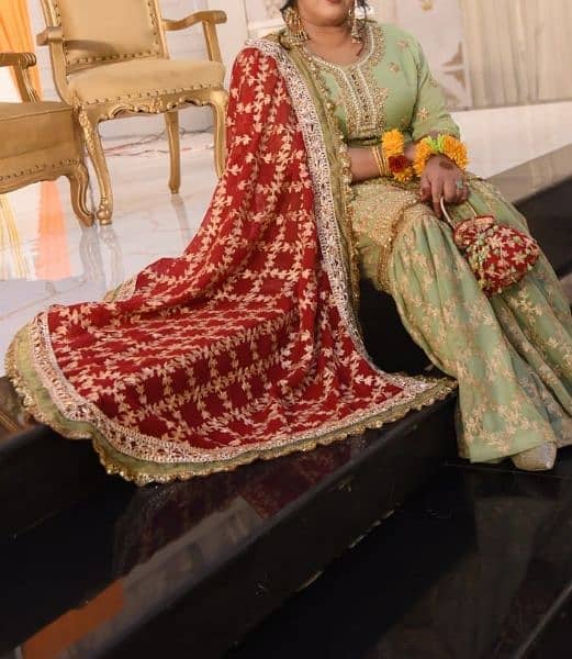 beautiful luxury gharara set 1