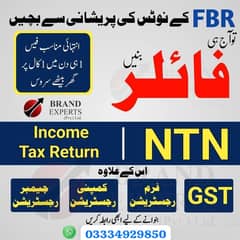 Income Tax Return/Sales Tax/Tax Consultant/FBR/Tax Filer/NTN/Company R