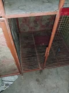 Aseel Hen Cage Double portion